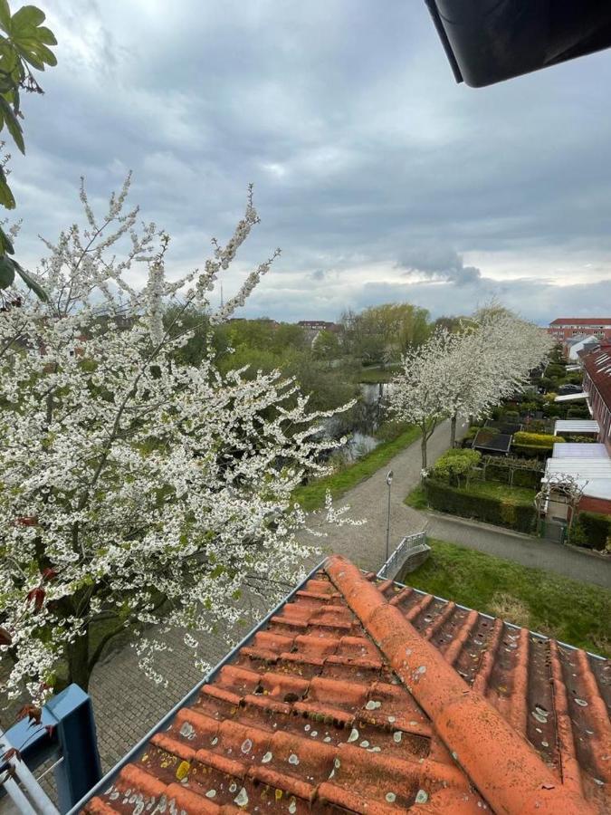 Großzügige Wohnung in Findorff Bremen Exterior foto